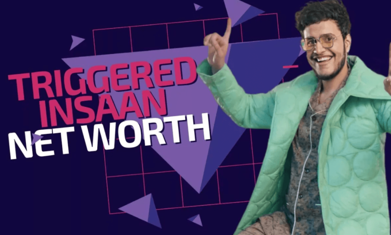 Net Worth of Triggered Insaan