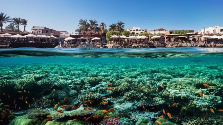 Common Misconceptions About Egypt’s Red Sea Coast – And the Reality Behind Them